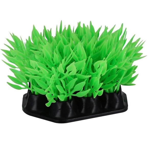 Aquarium mini plants. Green black. New. - Picture 5 of 5